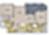 B2 ALT 1 floor plan 1,060 sq. ft. 1,060 sq. ft. B2 ALT 1 floor plan
