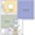 Luxe (E1B) floor plan 747 sq. ft. 733 sq. ft. to 762 sq. ft. Luxe (E1B) floor plan