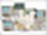 Harvard floor plan 1,339 sq. ft. 1,316 sq. ft. to 1,362 sq. ft. Harvard floor plan