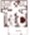 Floor plan 650 sq. ft. 650 sq. ft. floor plan