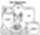 60 floor plan 900 sq. ft. 900 sq. ft. 60 floor plan