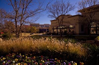Lofts at Watters Creek I & II Apartments