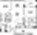 2B5 floor plan 1,997 sq. ft. 1,997 sq. ft. 2B5 floor plan