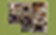 COTTWOOD floor plan 1,067 sq. ft. 1,067 sq. ft. COTTWOOD floor plan