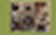 ASPEN floor plan 1,219 sq. ft. 1,219 sq. ft. ASPEN floor plan
