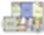 Oxford floor plan 604 sq. ft. 604 sq. ft. Oxford floor plan