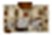 A3 floor plan 781 sq. ft. 781 sq. ft. A3 floor plan
