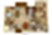 B1 floor plan 1,022 sq. ft. 1,022 sq. ft. B1 floor plan