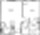 WILCREST floor plan 546 sq. ft. 546 sq. ft. WILCREST floor plan