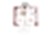 BENSON floor plan 626 sq. ft. 626 sq. ft. BENSON floor plan