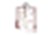 JOPLIN floor plan 874 sq. ft. 874 sq. ft. JOPLIN floor plan